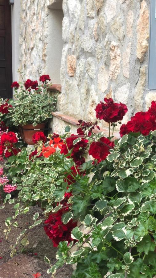 La Casetta Di Elena Lamezia Terme Exteriör bild