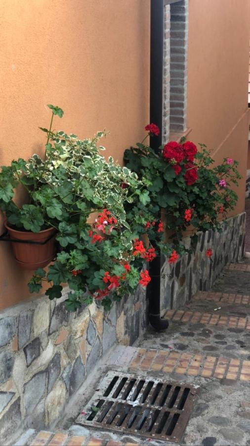 La Casetta Di Elena Lamezia Terme Exteriör bild